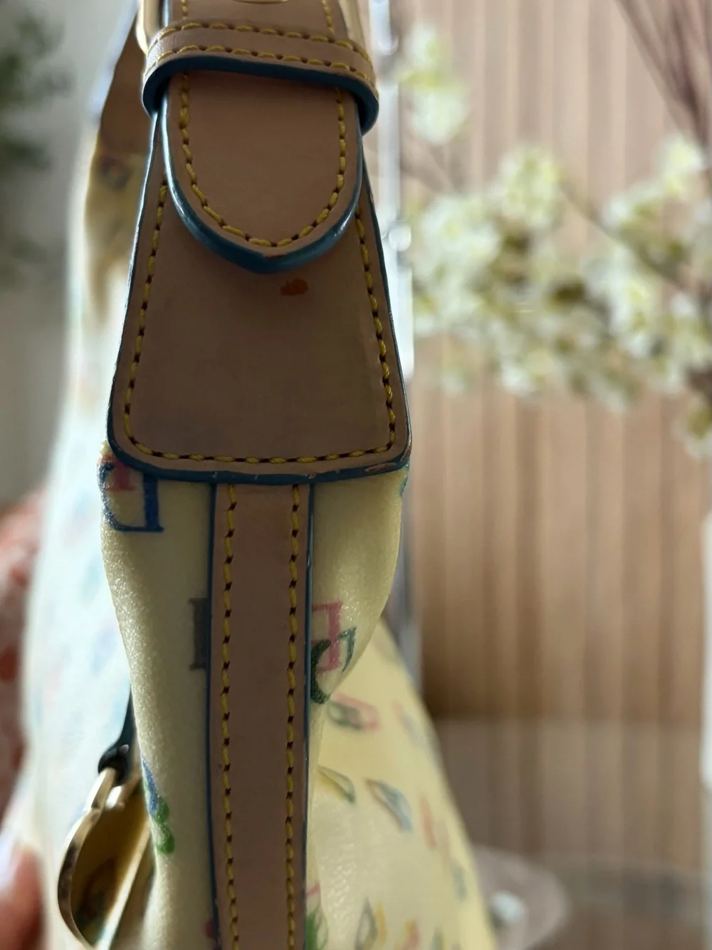 Vintage Dooney & Bourke Mischa Barton bag with Rainbow Logo